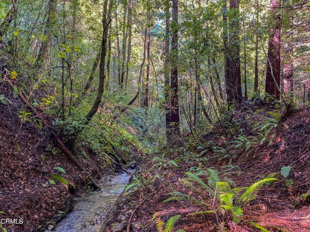 0 Irmulco Road, Willits CA: https://media.crmls.org/mediaz/c34ed44b-6c98-41bb-bccd-f6f1d21c11ea.jpg