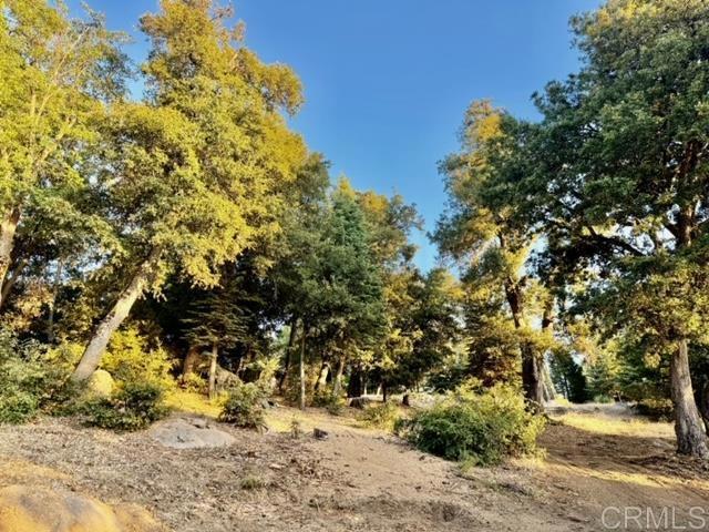 Detail Gallery Image 32 of 47 For 10 Acres Greenfield Way, Palomar Mountain,  CA 92060 - – Beds | – Baths