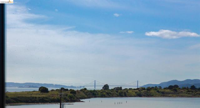 545 Pierce St, Albany CA: https://media.crmls.org/mediaz/c3590f3d-f1f6-4bcc-8ccd-b3be9ab8733d.jpg