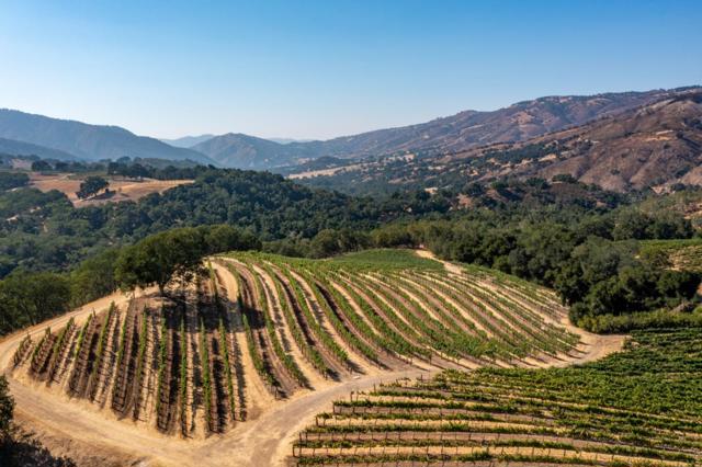 Image 47 of 51 For 20300 Cachagua Road