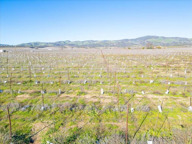 Image 24 of 35 For 48655 Lockwood Jolon Road