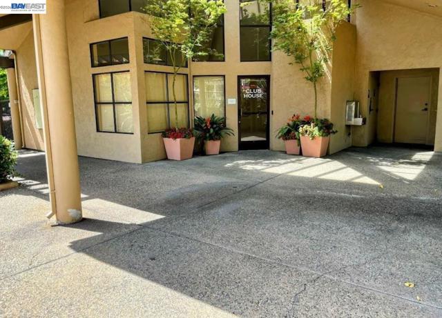 39206 Guardino Dr, Fremont CA: https://media.crmls.org/mediaz/c360bfe4-f1ab-4da0-84c9-30e36fa47c69.jpg