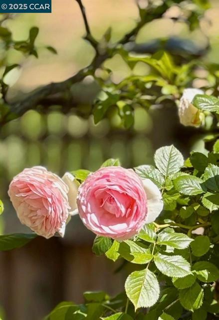 130 Arundel Dr, Hayward CA: https://media.crmls.org/mediaz/c3691717-7487-4e19-946a-3adb8160de5f.jpg