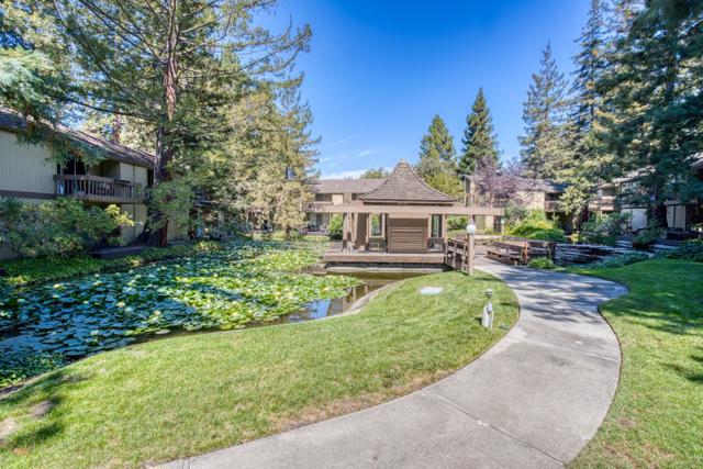 505 Cypress Point Drive, Mountain View CA: https://media.crmls.org/mediaz/c369fe64-9e2a-43dd-85bc-668ee2e3f2ec.jpg