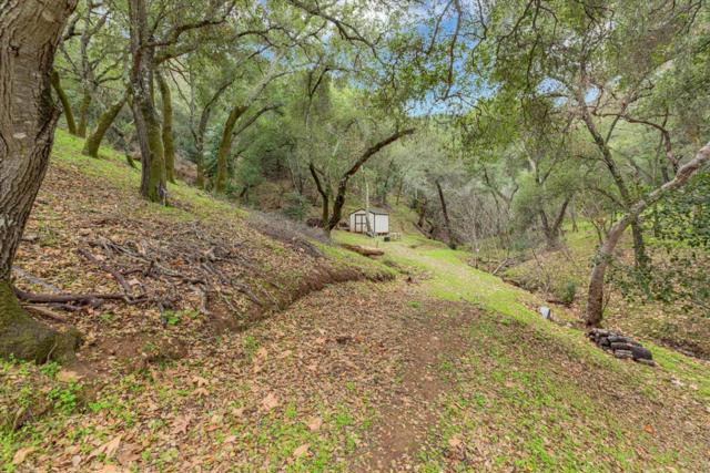 3005 Tohara Way, Morgan Hill CA: https://media.crmls.org/mediaz/c378b657-6fd3-4080-b67d-e36c7bcbc3b5.jpg