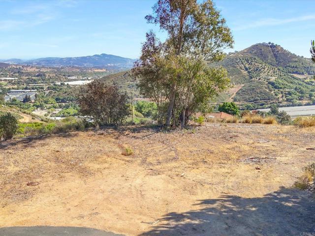 Detail Gallery Image 19 of 39 For 3020 Lynn Ln, San Marcos,  CA 92069 - – Beds | – Baths