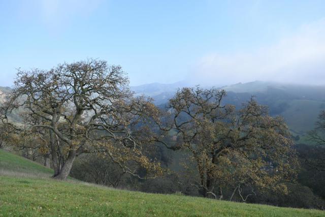 Image 17 of 23 For 1700 Finley Road