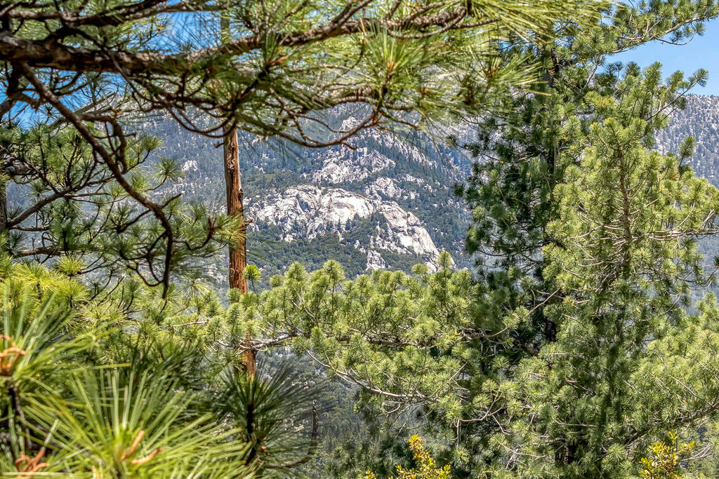 https://media.crmls.org/mediaz/c3963f4a-a015-44cb-87b4-d374acf816e1.jpg?preset=X-Large