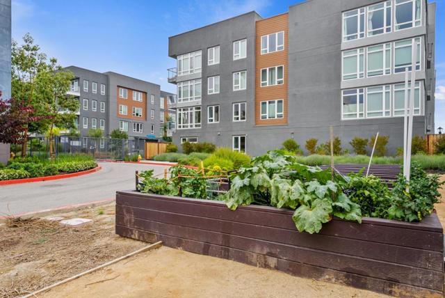 5925 Charlotte Drive, San Jose CA: https://media.crmls.org/mediaz/c397f3bf-3fa0-4533-9fff-687ba1f4f4a4.jpg