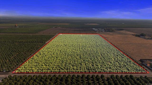 Details for 0 Rd 184, Lindsay Ca, Lindsay, CA 93286