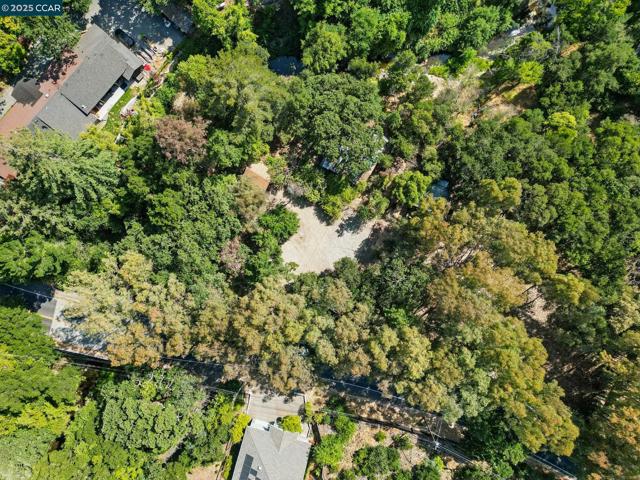 1491 Boulevard Way, Walnut Creek CA: https://media.crmls.org/mediaz/c3a8bfe7-7156-4181-870c-3f89a19ea2b4.jpg