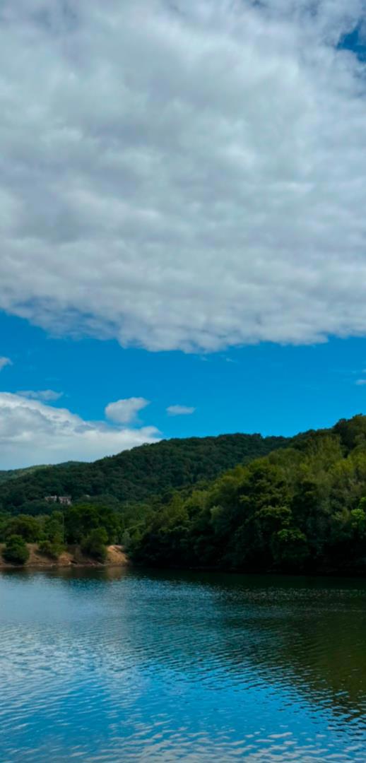 0 Uvas Road, Morgan Hill CA: https://media.crmls.org/mediaz/c3aa50e9-d40c-4301-994d-f6fe98a2daba.jpg