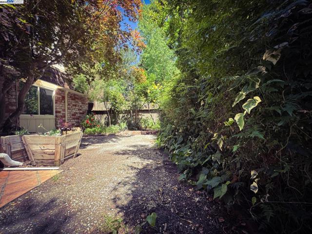 148 Ascot Ct, Moraga CA: https://media.crmls.org/mediaz/c3b013dd-ee81-4f0f-bec8-703fde0572be.jpg