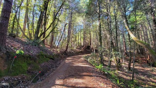 Detail Gallery Image 8 of 15 For 12301 Docker Hill Rd, Comptche,  CA 95427 - – Beds | – Baths