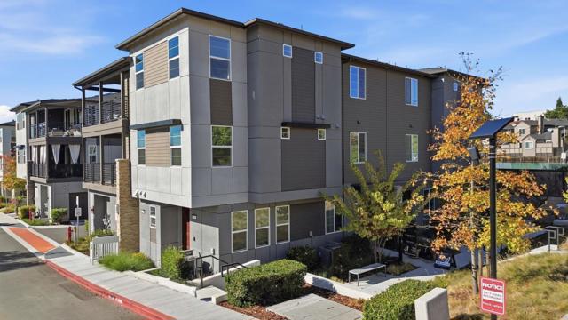 490 Trace Lane, Hayward CA: https://media.crmls.org/mediaz/c3c45806-ae4d-41df-ae2d-dc6231b56cc4.jpg