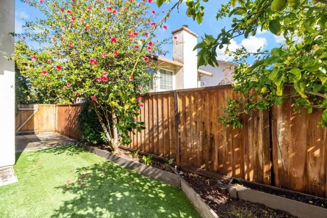 1928 North Star Place, San Jose CA: https://media.crmls.org/mediaz/c3ce72d1-1c6c-482a-b4a5-d196c679c848.jpg