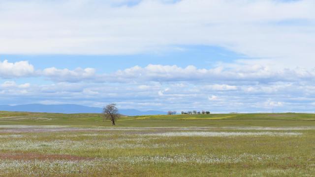 Details for 0 Road 33  , Artois, CA 95913