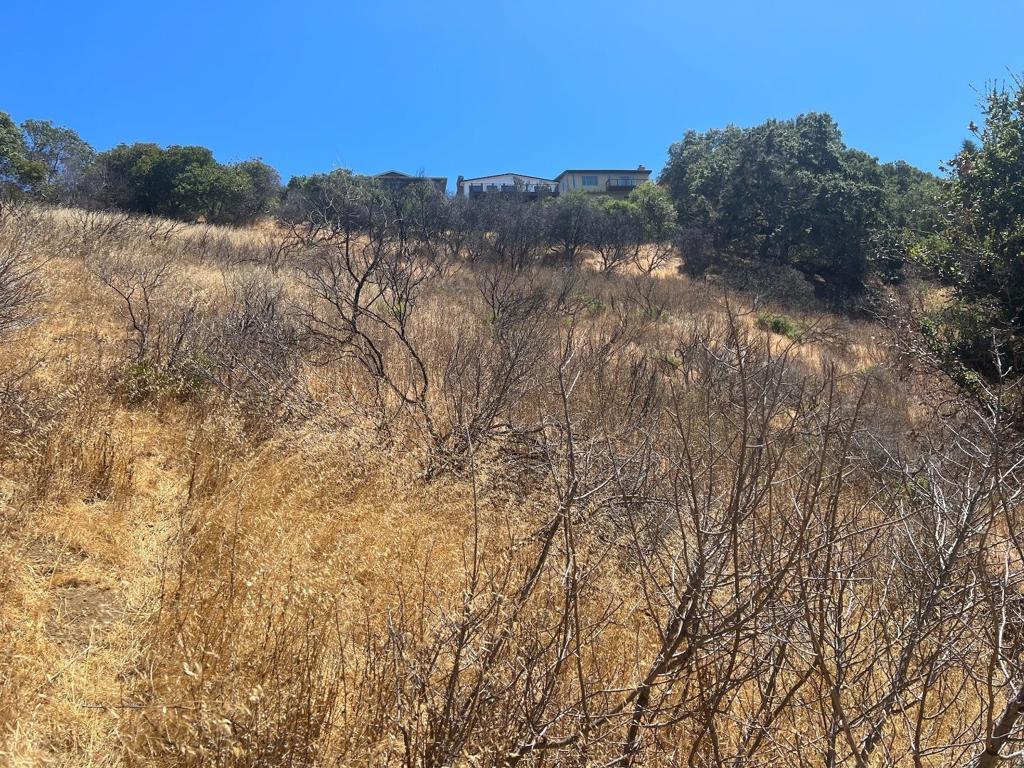 MLS #ML81990306 image #7