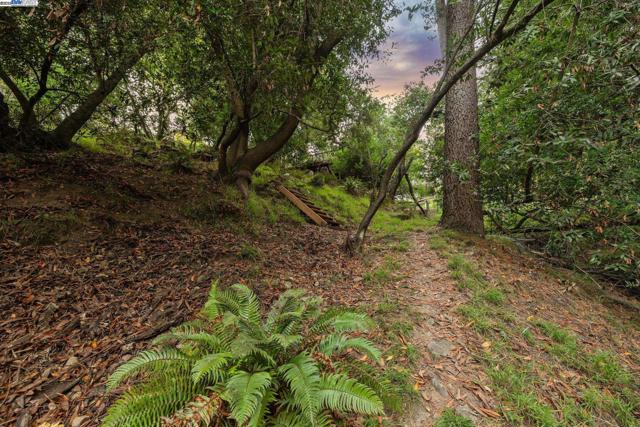 7171 HOMEWOOD DRIVE, Oakland CA: https://media.crmls.org/mediaz/c3f8b354-3145-45a6-8a57-480f9877612f.jpg