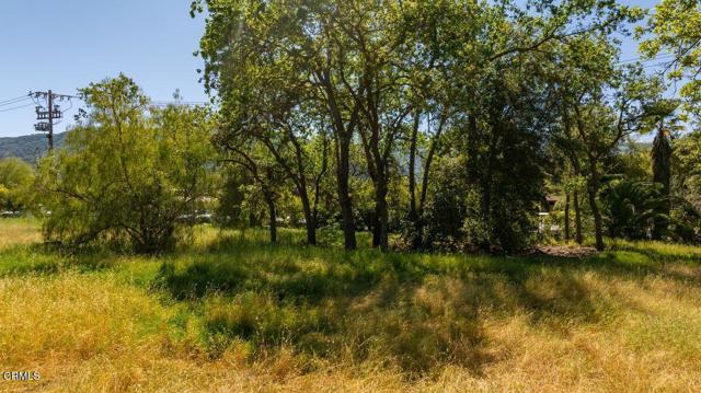 Detail Gallery Image 7 of 30 For 401 S Fulton St, Ojai,  CA 93023 - – Beds | – Baths