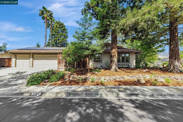 3180 Arbolado Dr, Walnut Creek CA: https://media.crmls.org/mediaz/c4023aa1-f913-42af-ba34-12c2787a4d93.jpg