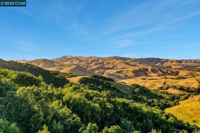 131 Wittenham Ct, San Ramon CA: https://media.crmls.org/mediaz/c408b86b-ca4f-4e77-98e7-62a1e7a4ccde.jpg