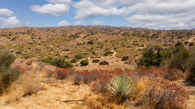 Detail Gallery Image 4 of 15 For 0 Hwy 33, Unincorporated,  CA 93252 - – Beds | – Baths