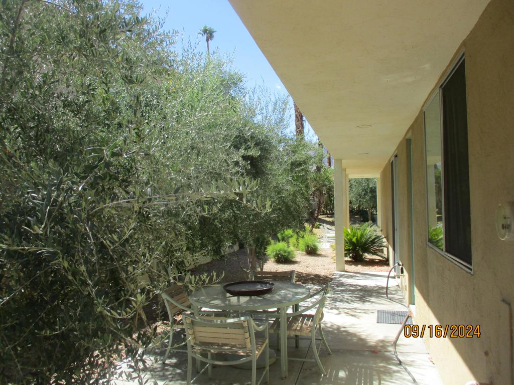 MLS #219139263DA image #5