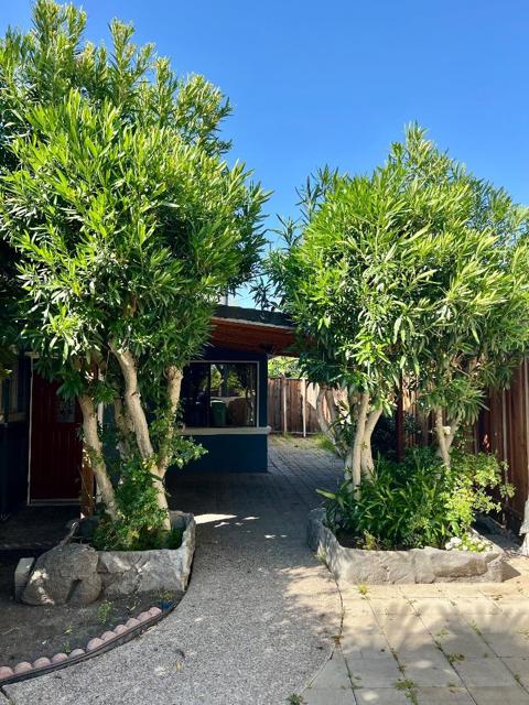 1449 Mercury Court, Milpitas CA: https://media.crmls.org/mediaz/c42daea8-a335-42c1-b006-e477762f7a29.jpg