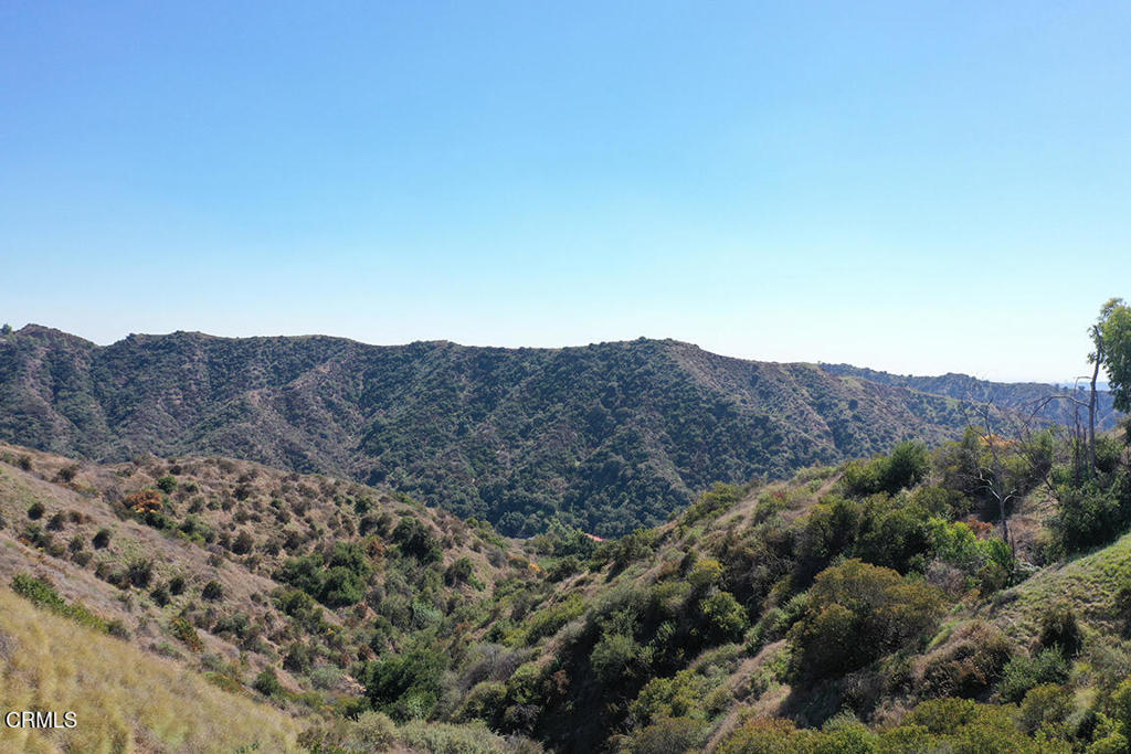 MLS #P1-23955 image #38