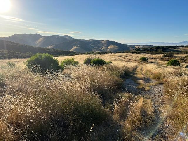0 Pine Canyon Road, King City CA: https://media.crmls.org/mediaz/c443d8e6-ec1c-4e26-a9ae-92168d544d74.jpg