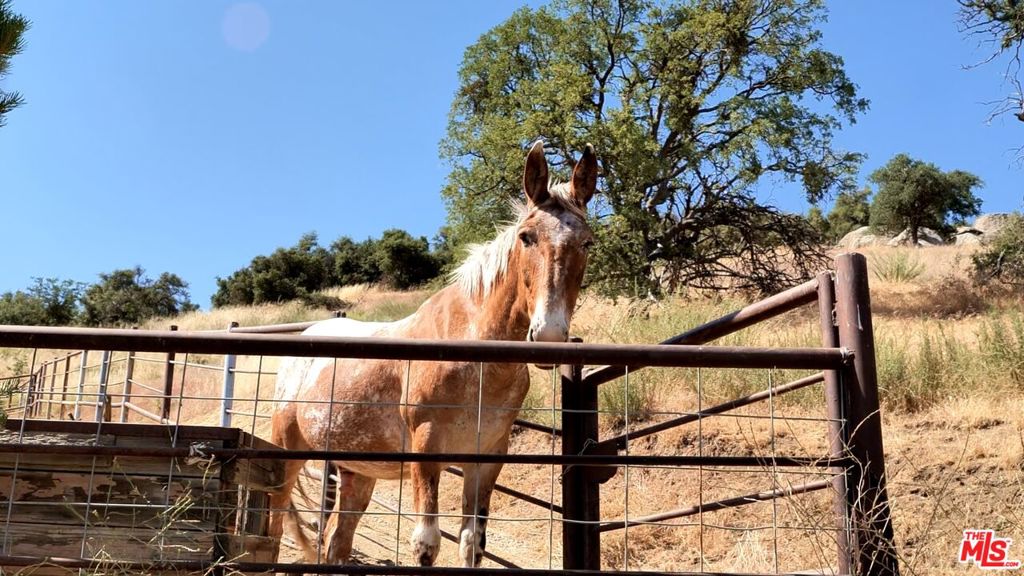 MLS #25613265 image #8