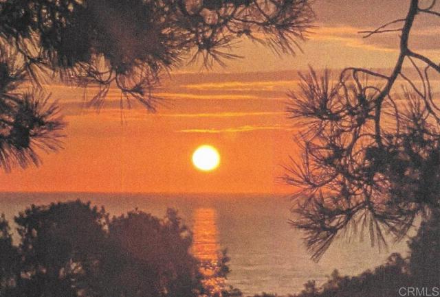 271 Ocean View Ave, Del Mar CA: https://media.crmls.org/mediaz/c4500dd8-2477-4f9f-8fed-e95b30f311ec.jpg
