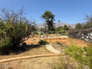 591 Alameda Street, Altadena CA: https://media.crmls.org/mediaz/c4573109-a686-4086-81e9-aa67ba299a39.jpg