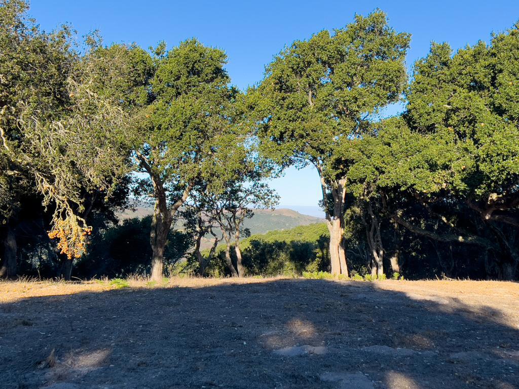 MLS #ML81990616 image #16