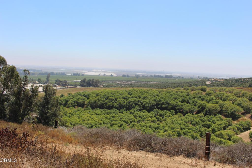 721 W La Loma Avenue, Somis, CA 93066