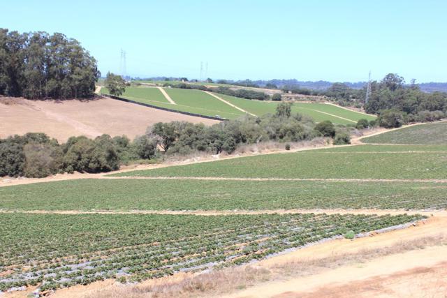 Image 7 of 18 For 16475 Blackie Road