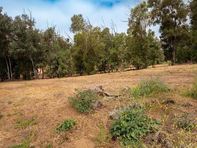 0 McDonald, Fallbrook CA: https://media.crmls.org/mediaz/c48ee2cd-76e9-4b94-9d39-a2a970ff4104.jpg