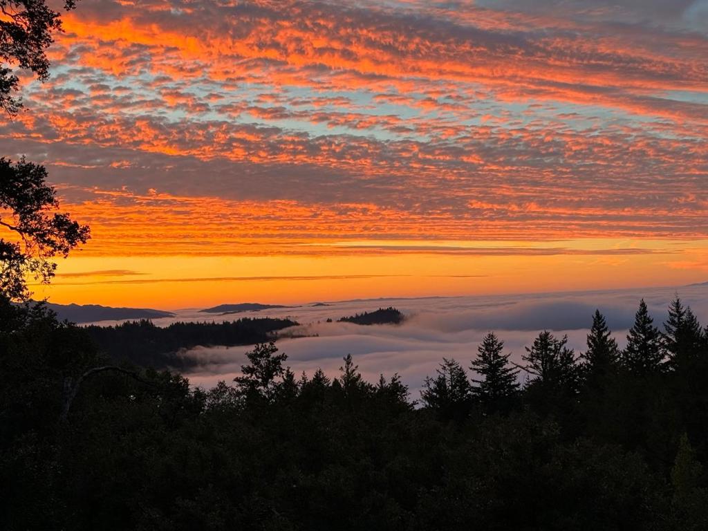 https://media.crmls.org/mediaz/c4977efc-8b6f-4350-8d9a-5acd665bc234.jpg?preset=X-Large