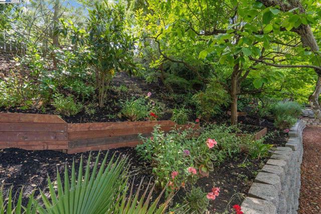 2371 Mallard Dr, Walnut Creek CA: https://media.crmls.org/mediaz/c49a2792-9daa-42a3-a2fc-91625b2498a6.jpg