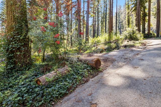 734 Acorn Drive, Boulder Creek CA: https://media.crmls.org/mediaz/c49bbb3d-b31c-49c2-8b35-3ac99f107b83.jpg