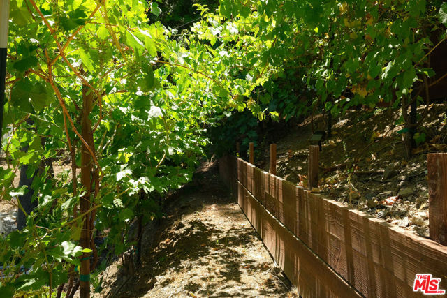 17149 Clemons Drive, Encino CA: https://media.crmls.org/mediaz/c49e92c6-07d7-49b4-ac7d-7305a6205c4e.jpg