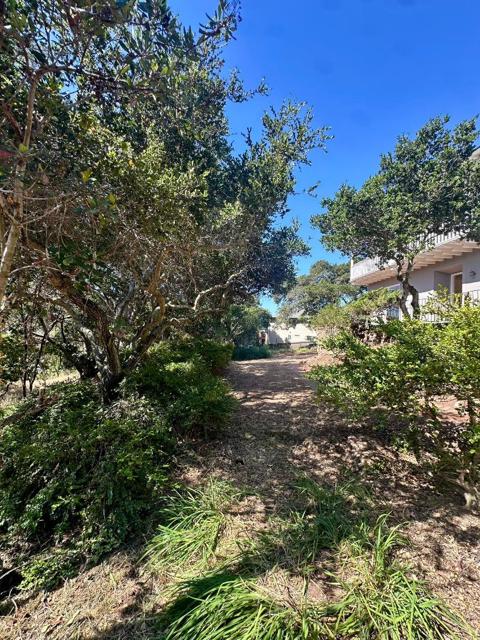 1920 Oak Knoll Drive, Belmont CA: https://media.crmls.org/mediaz/c4affef7-2c1c-4d8d-8535-7c2d8d44c271.jpg