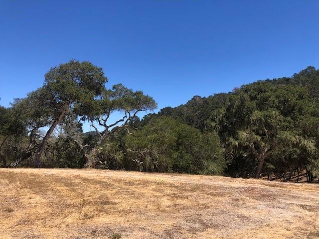 7735 Paseo Venado (Lot 82), Monterey CA: https://media.crmls.org/mediaz/c4c06b98-8292-4020-bd2e-415d6f99a4b5.jpg