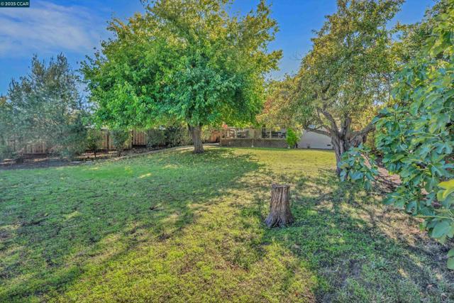 2968 Glenside Dr, Concord CA: https://media.crmls.org/mediaz/c4c48d06-cdc8-40d3-aea6-2079fe3455ee.jpg