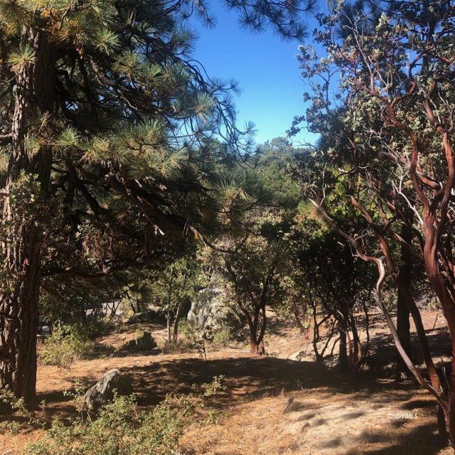 0 Northridge, Idyllwild CA: https://media.crmls.org/mediaz/c4cd7ad5-be8f-4036-9084-a02c96508386.jpg