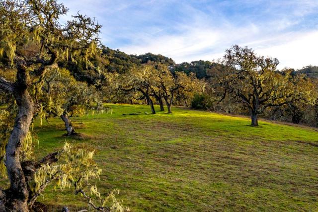 14 Vasquez Trail (Lot 181), Carmel CA: https://media.crmls.org/mediaz/c4cfe7a7-3221-447d-a521-4b861b8c31fc.jpg