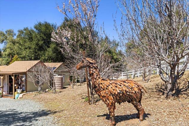 10499 Highway 79, Descanso CA: https://media.crmls.org/mediaz/c4d0ba8a-6c50-4507-a5b8-3c8f4849d5b1.jpg