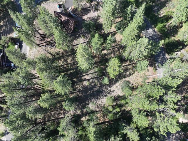 881 Onnontioga Street, South Lake Tahoe CA: https://media.crmls.org/mediaz/c4db9f3f-8d08-4ee5-a443-d59089034658.jpg