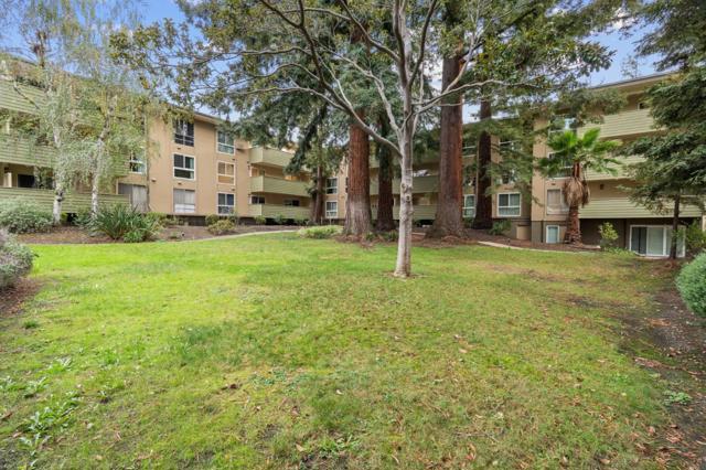 1033 Crestview Drive, Mountain View CA: https://media.crmls.org/mediaz/c4e4303b-dab4-4785-ba4f-220921456b93.jpg